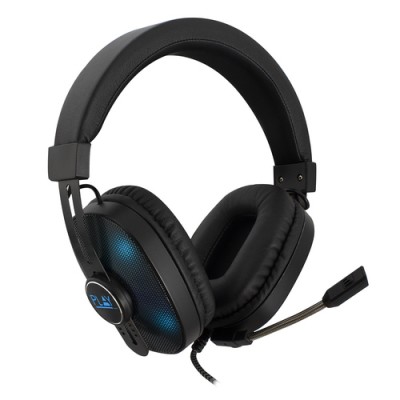 Ewent Play PL3321 Auriculares Diadema Negro - Imagen 1